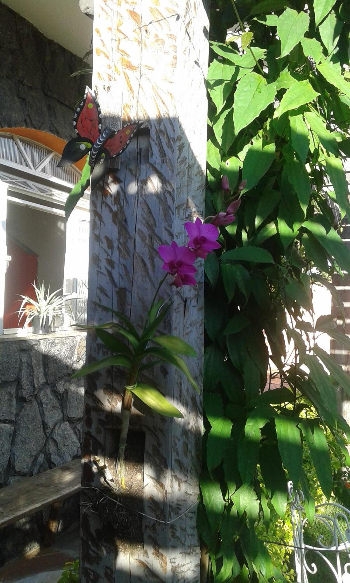 Pouso Mariazinha Guest house *