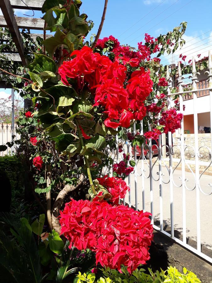 Guest house Pouso Mariazinha *